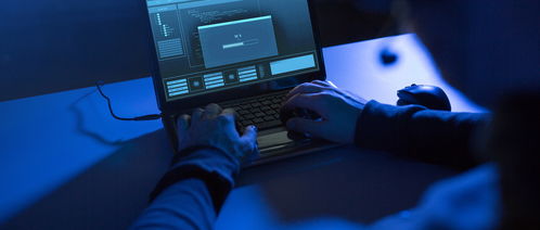 計算機科學(xué)與技術(shù) vs 軟件工程 解析專業(yè)差異與網(wǎng)絡(luò)及軟件開發(fā)的聯(lián)系